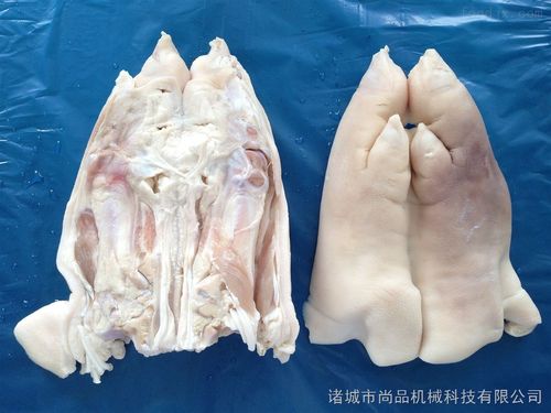 豬蹄劈半機(jī)價(jià)格與供應(yīng)信息全解析——中國食品機(jī)械設(shè)備網(wǎng)助您把握商機(jī)